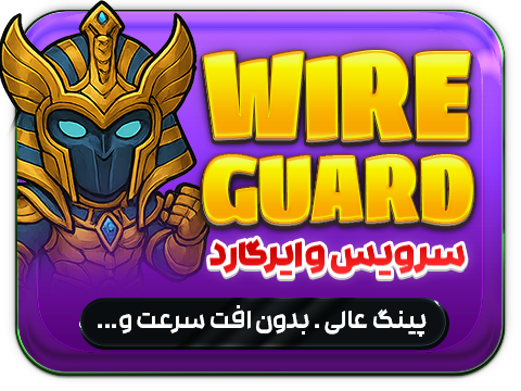سرویس وایرگارد
