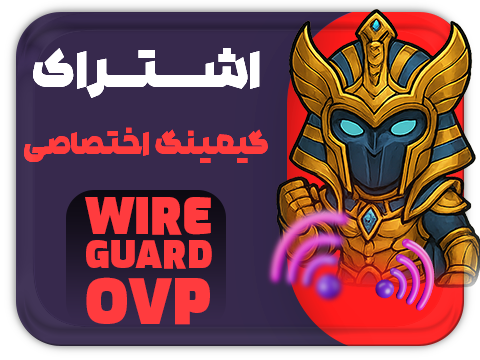 سرویس وایرگارد